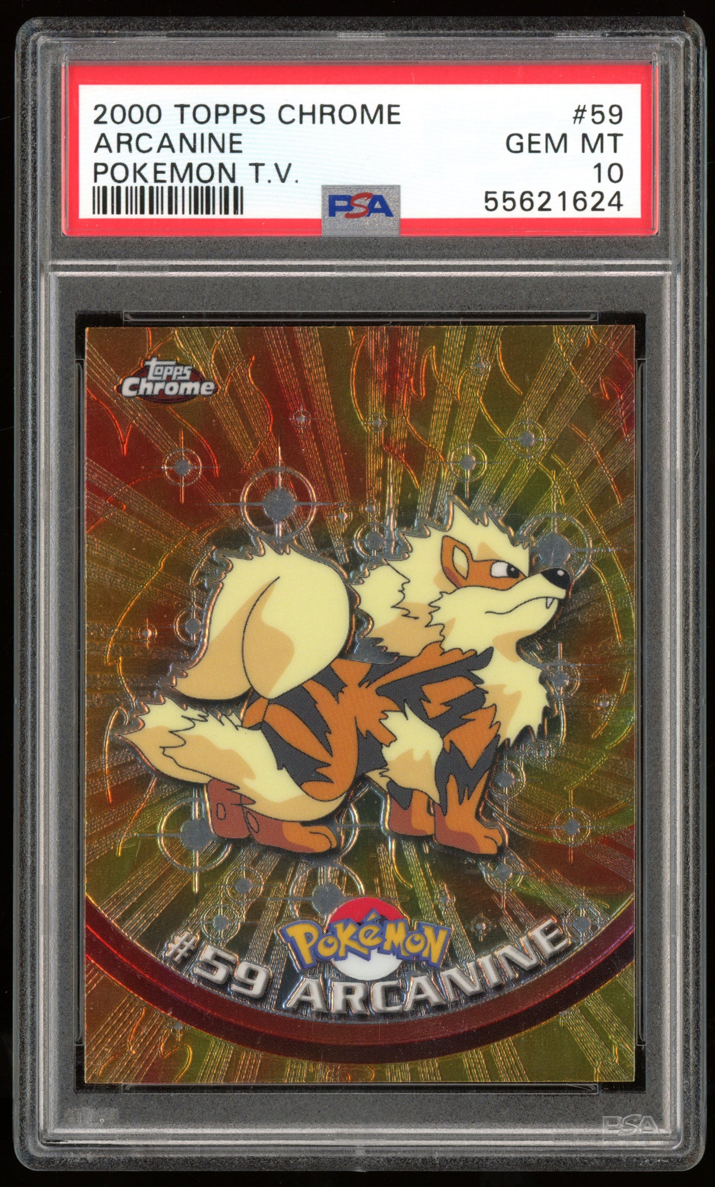 CORGO CARDS X HIT PARADE COLLAB: SERIES 1 (ONE SLAB IN EVERY BOX)