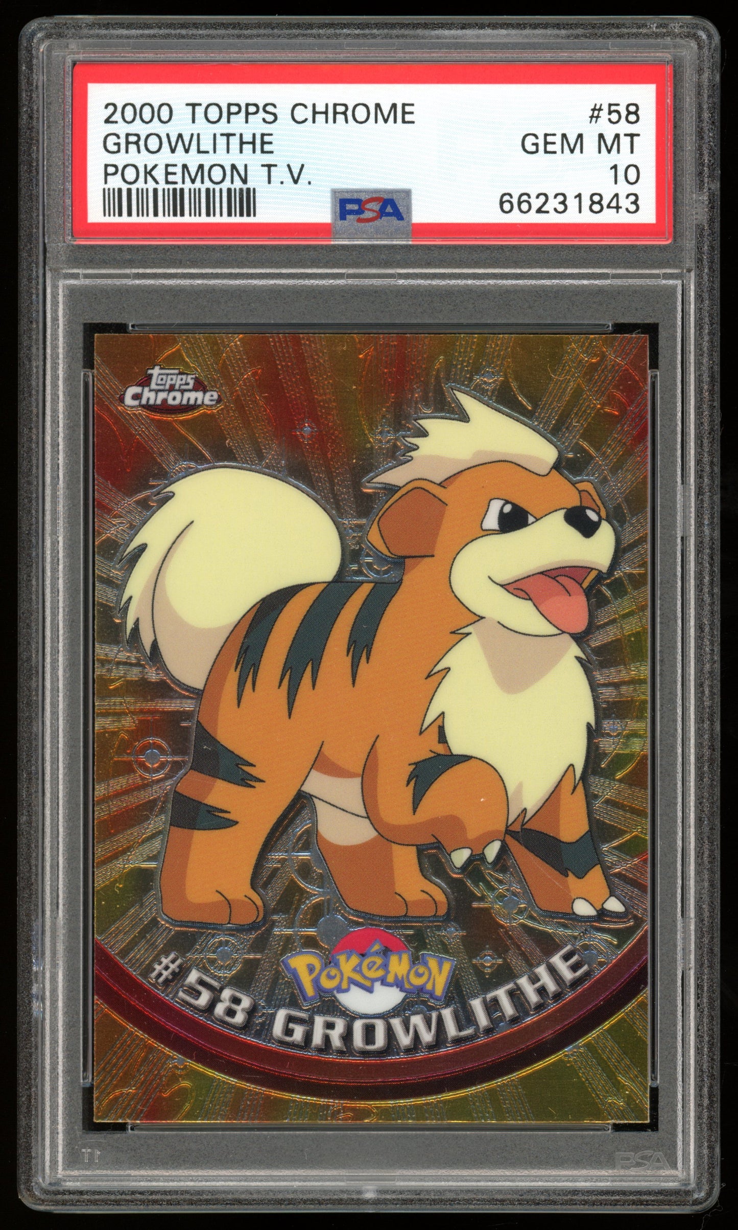 CORGO CARDS X HIT PARADE COLLAB: SERIES 1 (ONE SLAB IN EVERY BOX)